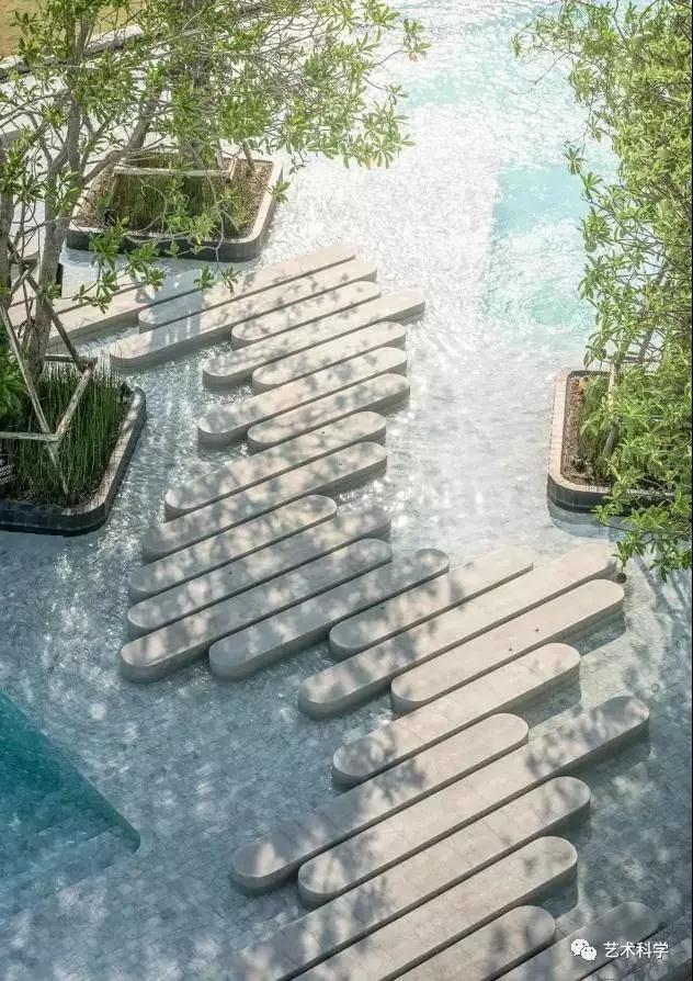 1544591431124581.jpg
