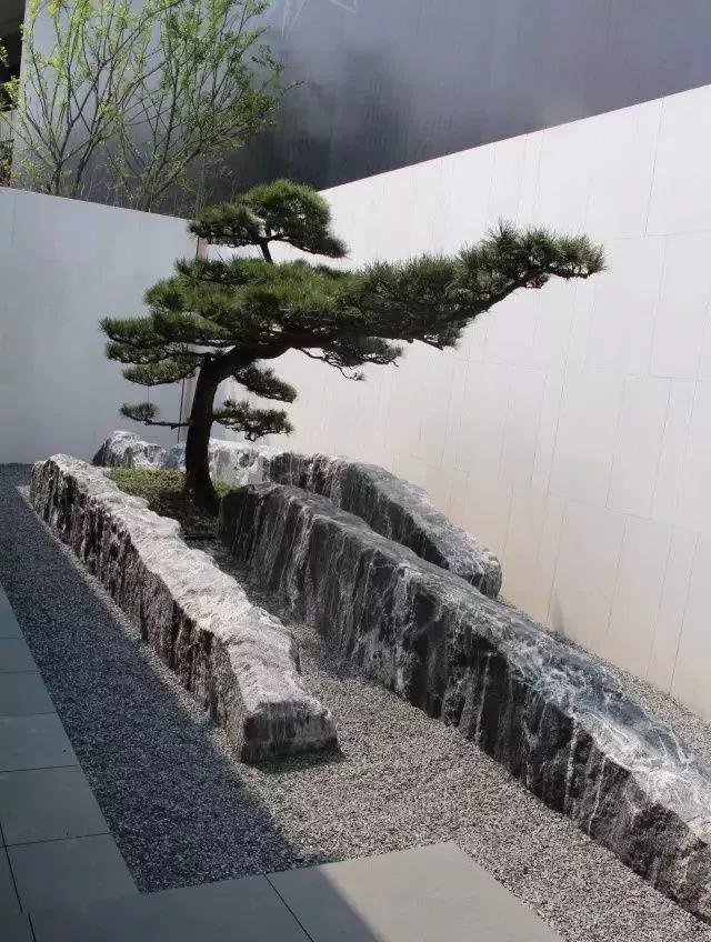 1557108701880042.jpg